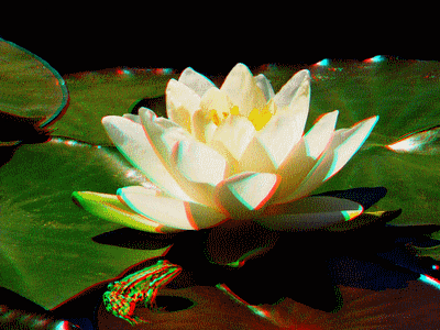 3d_relief_anaglyph_rose_flower