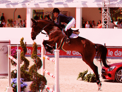 athina, onassis, rider, cso, csi, chantilly, 3d, contest, competition, saut, obstacle, hurdle, cs5, relief, anaglyph, horse, caballo, cheval, jumping