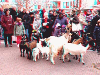 3d_relief_anaglyph_animal_ferme_farm_nanterre_goat_year_nouvel_an_chinois